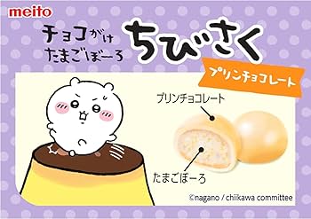 チョコサプ さくさくワッフルチョコレート10 | ワッフル櫟kunugi オンライン
